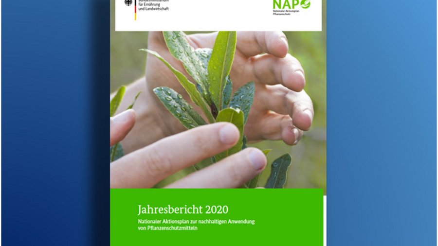 Titelseite vom Jahresbericht 2020