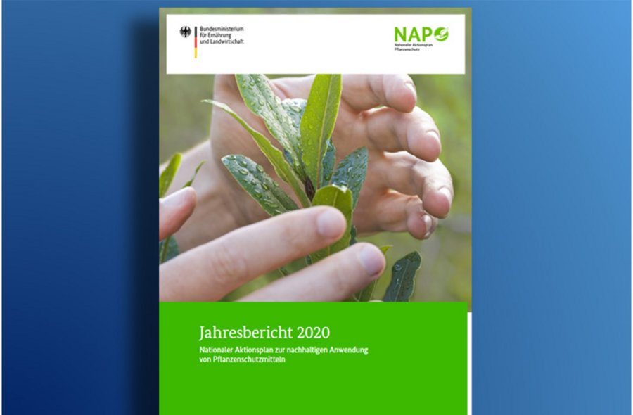 Titelseite vom Jahresbericht 2020